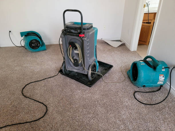 Best Water damage restoration near me  in Moundville, AL
