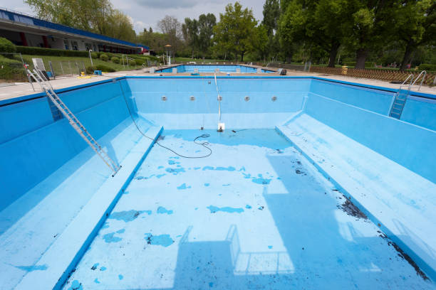 Best Water damage cleanup near me  in Moundville, AL