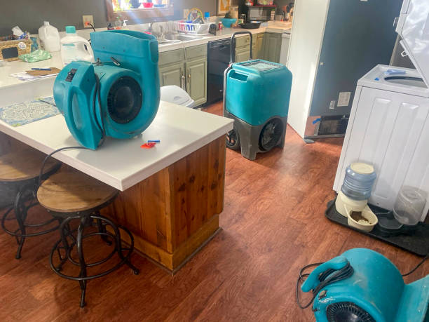 Best Emergency water damage restoration  in Moundville, AL