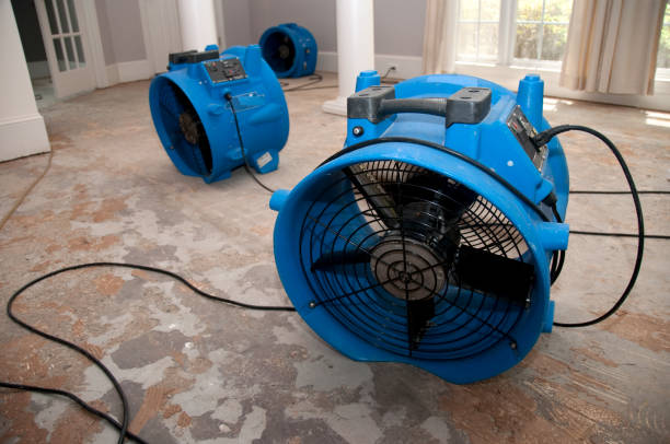 Best Water damage restoration near me  in Moundville, AL