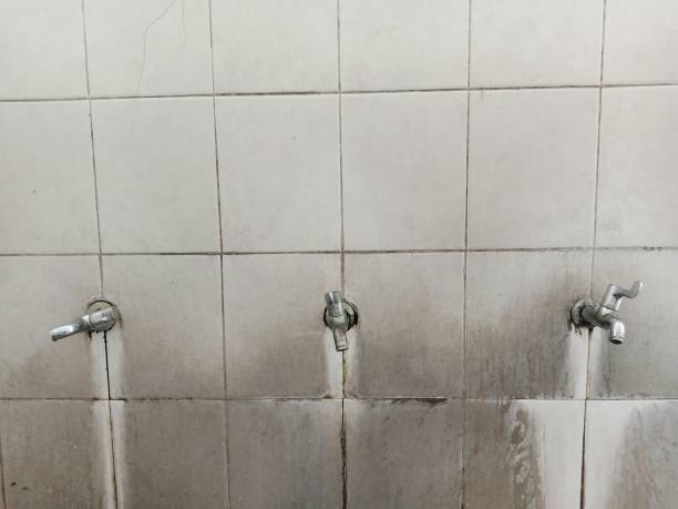 Best Ceiling water damage repair  in Moundville, AL