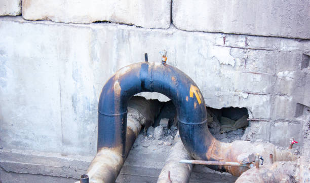Best 24/7 water damage repair  in Moundville, AL