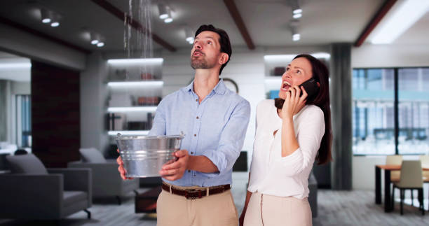 Best Flood restoration services  in Moundville, AL